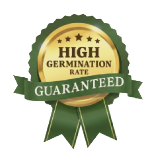 High Germination Rate Guaranteed seal