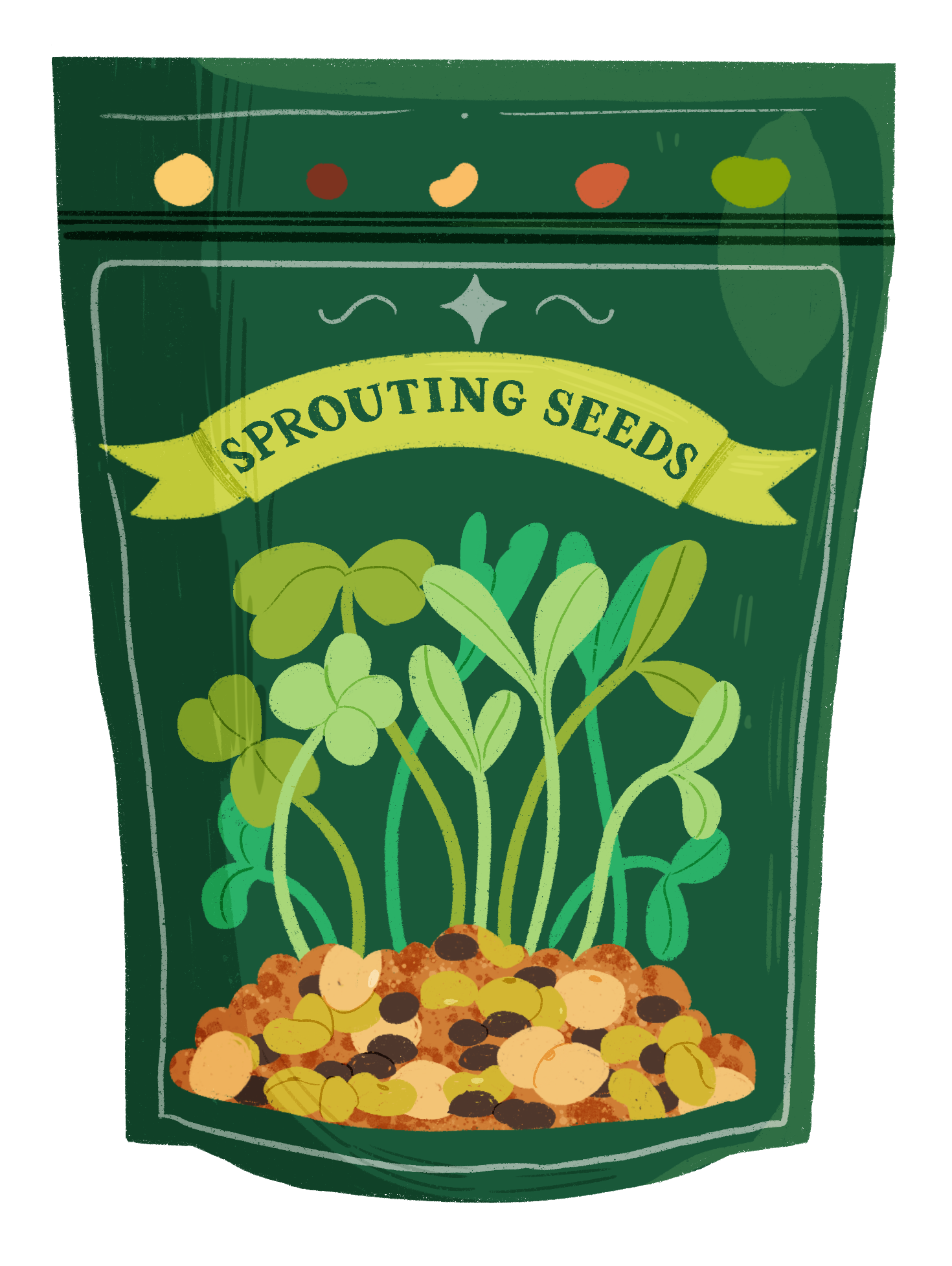 Sprouting seeds