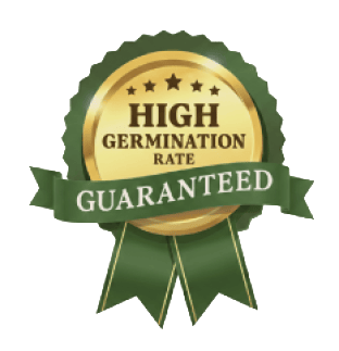 High Germination Rate Guaranteed seal