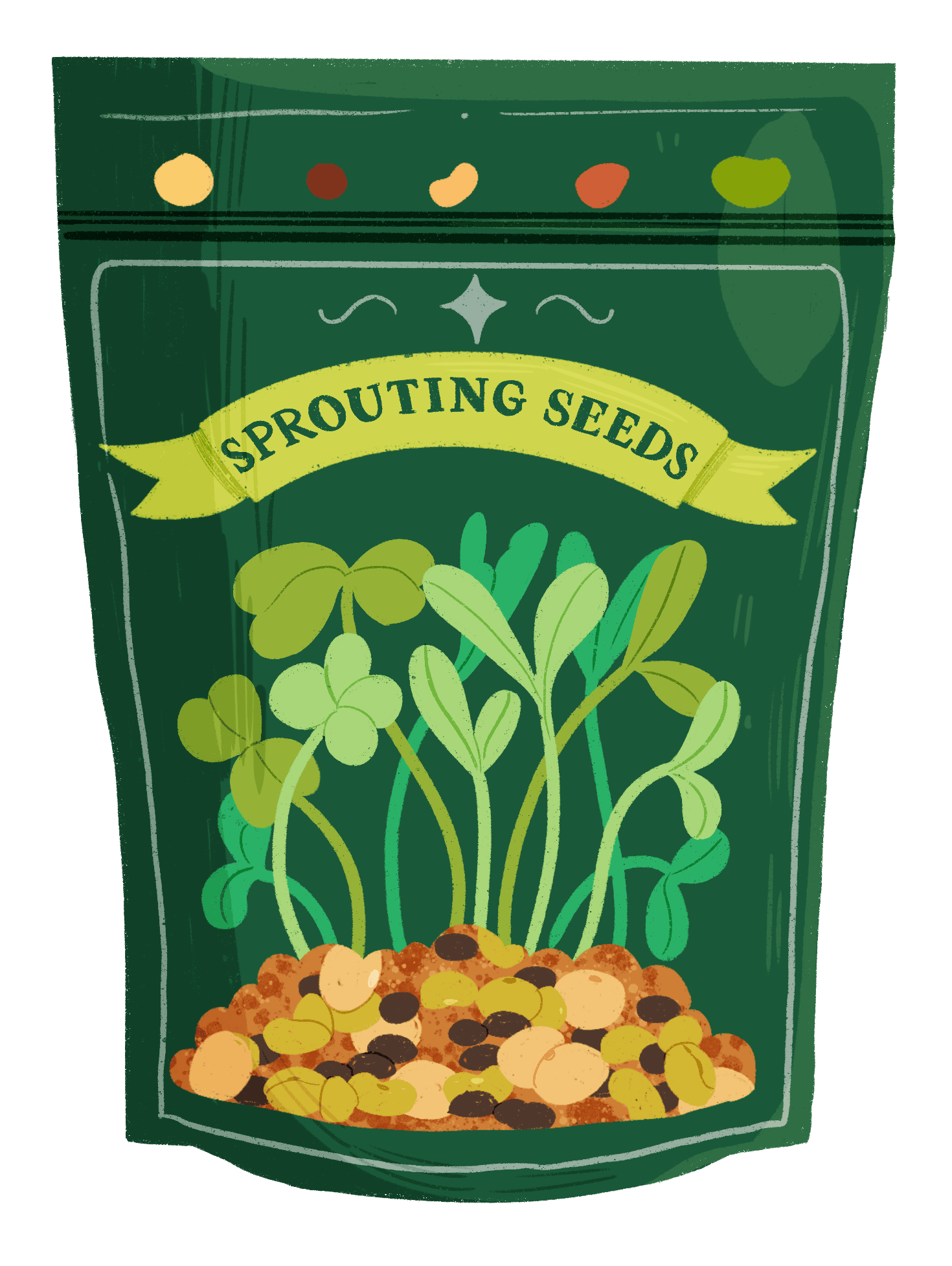 Sprouting seeds